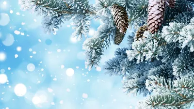 Скачать обои Новый год (Зима, Новый год, Рождество) для рабочего стола  1366х768 (16:9) бесплатно, Обои Новый год Зима, Новый год, Рождество на рабочий  стол. | WPAPERS.RU (Wallpapers).