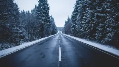 Обои снег, зима, дерево, природа, мороз HD ready бесплатно, заставка  1366x768 - скачать картинки и фото
