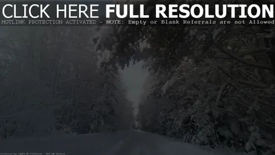 Снежный лес - фото и картинки: 33 штук