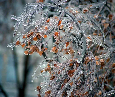 30-градусный мороз и дождь обещают в Красноярске на новой неделе |  26.11.2023 | Красноярск - БезФормата