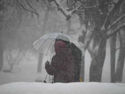Природа намекает на приближение зимы»: в Саратовской области ожидается дождь  со снегом - KP.RU