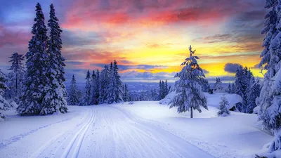 Скачать 1920x1080 норвегия, зима, лес, снег, деревья обои, картинки full hd,  hdtv, fhd, 1080p