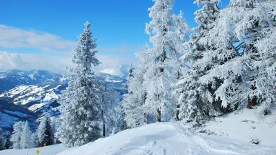 Обои гора, снег, зима, природа, дерево 8K Ultra HD бесплатно, заставка  7680x4320 - скачать картинки и фото