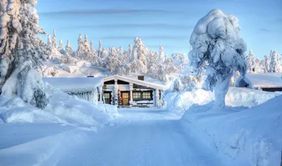Снег, зима, лес Обои 1920x1080 Full HD (Full High Definition)