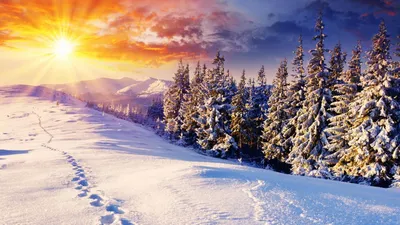 Обои Зима, снег, лес, горы 1920x1080 Full HD 2K Изображение