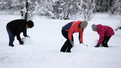 Аномально теплая зима: каковы последствия для украинских городов - Новости  Житомира сегодня - Львов