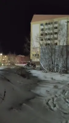 Видео: Семенович пробежалась по асфальту на лыжах