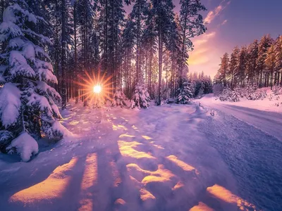 Снегопад и солнце (49 фото) - 49 фото
