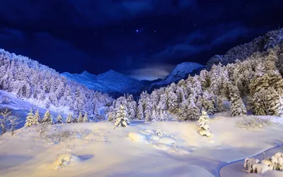Nature Winter HD Wallpaper