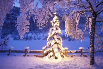 Красивые зимние новогодние обои - 65 фото