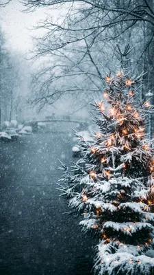 Картинки зима снег новый год (68 фото) » Картинки и статусы про окружающий  мир вокруг