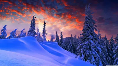 Winter Christmas 4K wallpaper | Пейзажи, Закаты, Фотообои