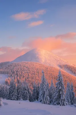 Лучшая подборка зимних картинок эстетика | Пейзажи, Зимние сцены,  Живописные пейзажи
