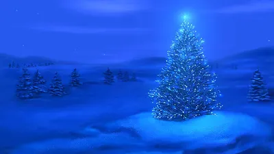 Снег Зима Время Рождества - Бесплатное фото на Pixabay - Pixabay