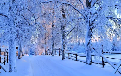 Обои зима снег 5k – Отличное качество (5120 × 2880)
