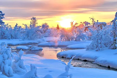 Зима природа