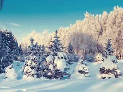 картинки : зима, снег, небо, пейзаж, Синий, природа, холодно, мороз, гора,  Деревьями, белый, воды, красивая, Горы, Рождество, облако, Цены расширенных  лицензий, Замороженный, солнце, туман, время года, Погода, филиал,  Замораживание, Природный ландшафт ...