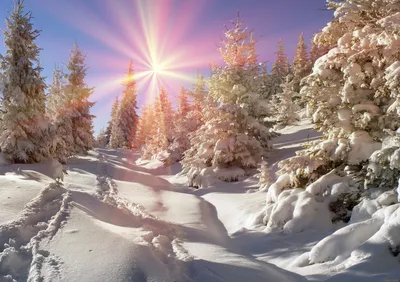 Картинки зима, природа, дача, снег, красиво, домик, лес - обои 1920x1080,  картинка №121753