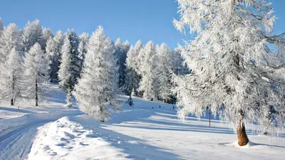 Бесплатное изображение: Фрост, снег, закат, зима, природа, снег, снежинка,  атмосфера, небо