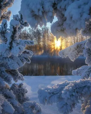 Зима Снег Природа - Бесплатное изображение на Pixabay - Pixabay