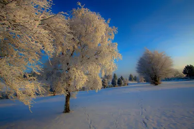 Красивая зимняя природа - 78 фото