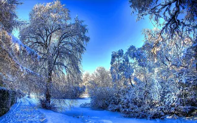 Природа зимой | Природа, Зима