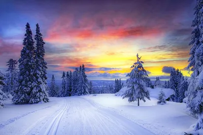 Скачать обои норвегия, зима, снег, деревья, елки, раздел природа в  разрешении 2048x1363 | Пейзажи, Живописные пейзажи, Закаты
