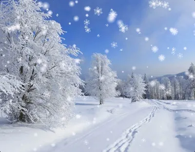 Снеговик с подарками и снежинками скачать обои, зима, время года, снег фон  картинки и Фото для бесплатной загрузки