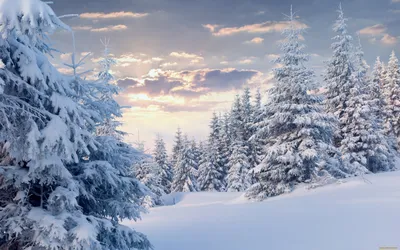 Скачать бесплатно картинку на телефон Пейзаж, Зима, Рисунки. | Winter  painting, Winter wallpaper, Landscape paintings