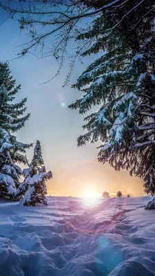 Скачать картинки Снежная зима, стоковые фото Снежная зима в хорошем  качестве | Depositphotos
