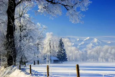 Зима: картинки, стокові Зима фотографії, зображення | Скачати з  Depositphotos