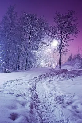 Скачать картинки Зима фон, стоковые фото Зима фон в хорошем качестве |  Depositphotos