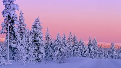 Русская зима (141 фото) - 141 фото