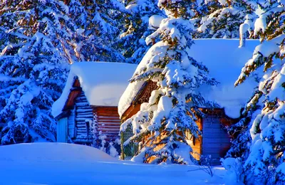 Фото ели Зима Природа снегу Здания Времена года 2048x1333
