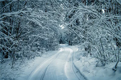 Скачать 1920x1080 зима, дорога, снег, деревья, зимний пейзаж обои, картинки  full hd, hdtv, fhd, 1080p