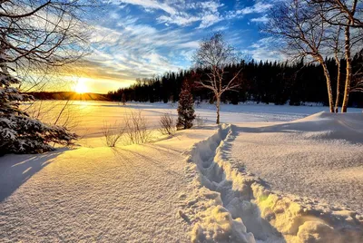 зима #эстетика #холод #сугробы #снег #снегопад #утро | Winter scenery,  Scenery, Winter wonderland