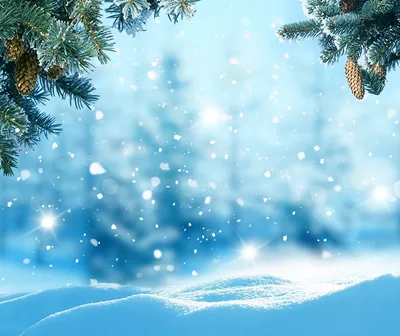 Обои Зима Природа Снег Ветки Шишки Шаблон поздравительной открытки Времена  года зимние ветвь сезон года | Пейзажи, Зимние сцены, Фоновые изображения