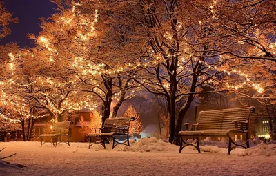 Фотография Новый год зимние Природа Снег Парки Ночь Гирлянда Скамейка  Города Деревья Праздники Рождество Зима Скамья … | Зимние картинки,  Декорации, Фоновые рисунки