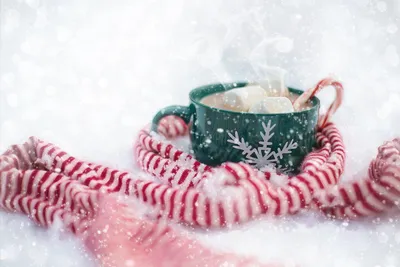 10 вещей, которые сделают вашу зиму уютной и теплой. – Торговый центр ОПЕРА