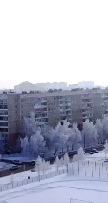 Вечер зимы в городе Свет фонарика на снежный падать деревьев Обои  предпосылки Стоковое Изображение - изображение насчитывающей напольно,  стенд: 153326645