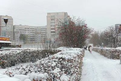 Зима... | AnimeBlog | ВКонтакте