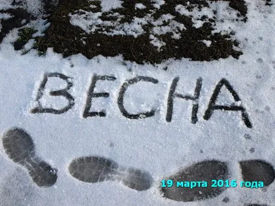 BB.lv: В марте в Латвии также ожидаются мороз и снег — синоптики