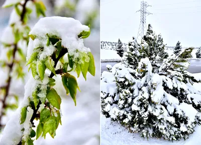 Погода весной в Киеве - в марте синоптики передают снег