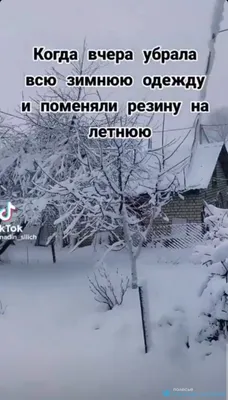 Погода в Туле 8 марта: облачно и скользко, небольшой снег - Новости Тулы и  области - MySlo.ru