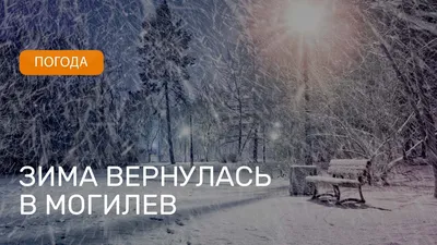 Зима вернулась! :: Елена Кирьянова – Социальная сеть ФотоКто