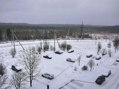 Зима вернулась! * ---------- утром 13.01.2024 ---------- #ВеликийНовгород  #НовгородскаяОбласть #Юрьево #Z70_180mm ---------- | Instagram
