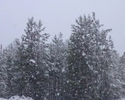 Зима вернулась! Омскую область в середине апреля накрыло снегом - Новости  Омска - om1.ru
