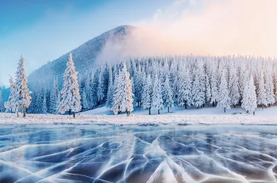 Обои Природа Зима, обои для рабочего стола, фотографии природа, зима, огни,  город, рождество, ночь, новый, год, снег Обои для рабочего стола, скачать  обои картинки заставки на рабочий стол.