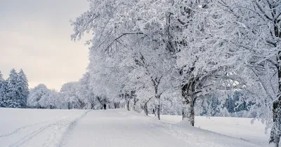 Обои зима, дорога, снег, деревья, зимний пейзаж картинки на рабочий стол,  фото скачать бесплатно