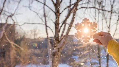 Зимнее солнцестояние: что делать в этот день, чтобы привлечь удачу на весь  год — АМУР.Инфо